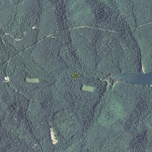 Aerial/Satellite Image of Sheltowee Trace, KY