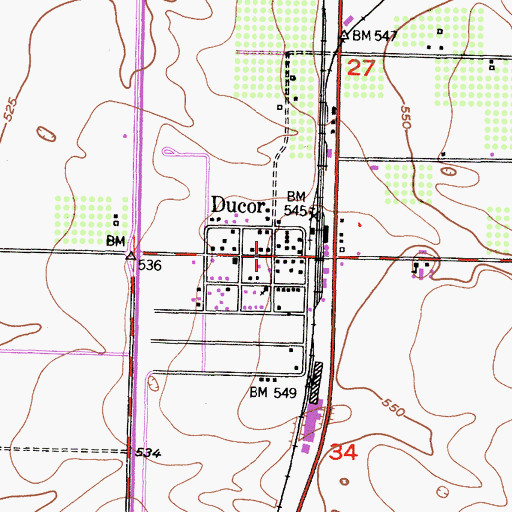 Topographic Map of Ducor, CA