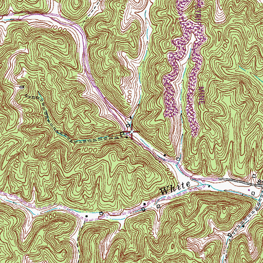 Topographic Map of Peachtree Branch, KY