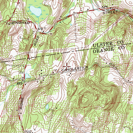 Topographic Map of Dogwood Hills, NY