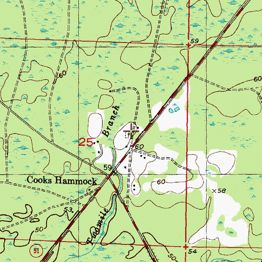 Topographic Map of Cooks Hammock Cemetery, FL