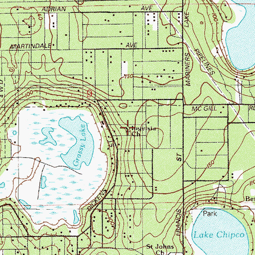 Topographic Map of La Luz Verdadera, FL