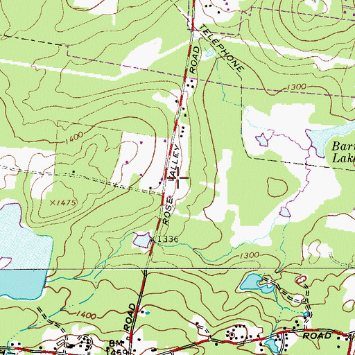 Topographic Map of Pilgrim Holiness Church, NY