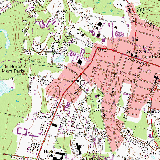 Topographic Map of Temple Sholom, NY