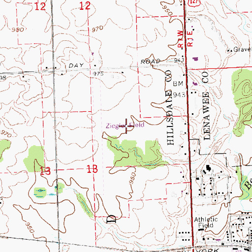 Topographic Map of Ziegler Field, MI