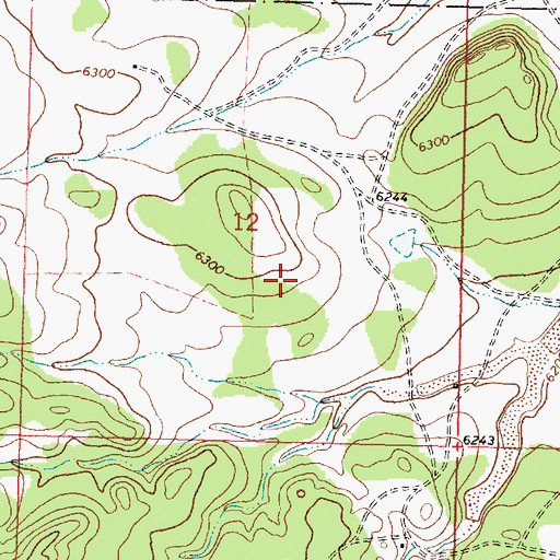 Topographic Map of Alamo Chapter, NM