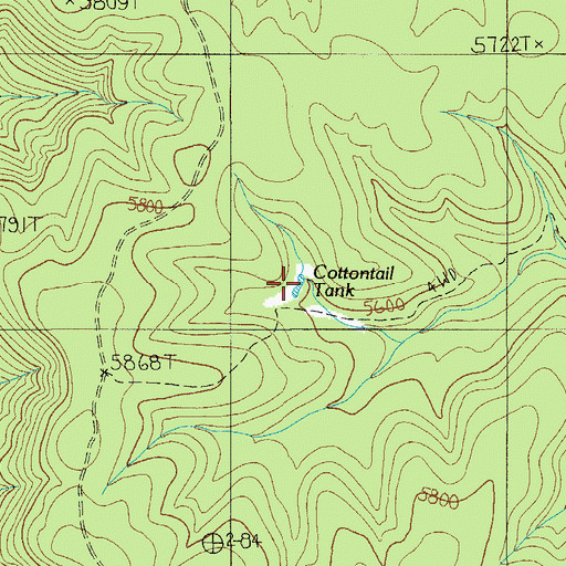 Topographic Map of Cottontail Tank, AZ
