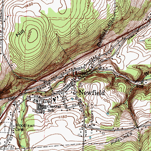Topographic Map of Newfield Bridge, NY