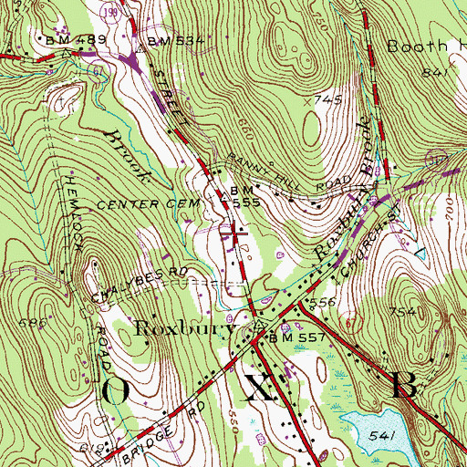 Topographic Map of Roxbury Volunteer Fire Department, CT