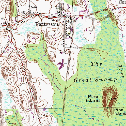 Topographic Map of Matthew Patterson Elementary School, NY