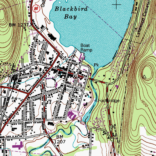 Topographic Map of Alfred Corning Clark Gymnasium, NY