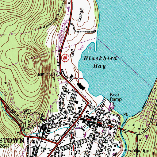 Topographic Map of O-te-sa-ga Electric Light And Heating Plant, NY