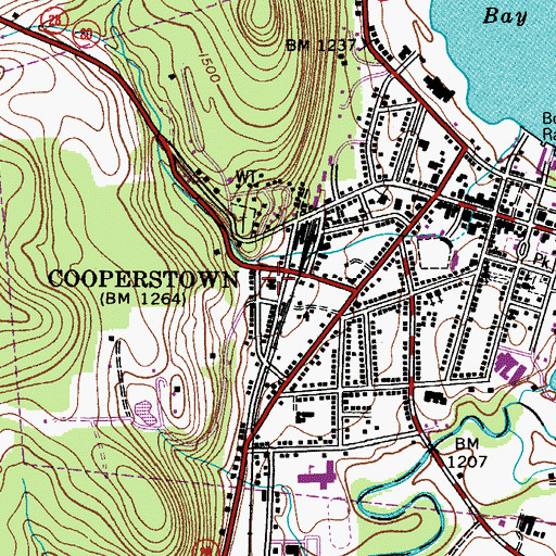 Topographic Map of Clara Welch Thanksgiving Home Assisted Living Center, NY