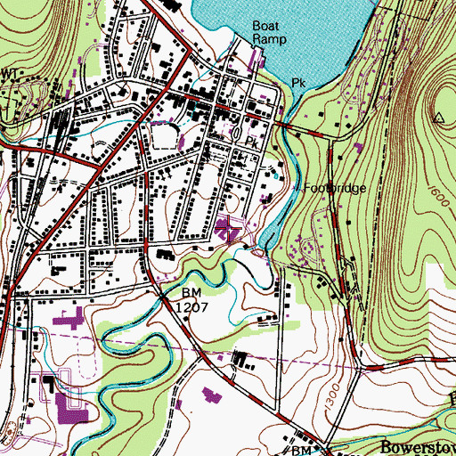 Topographic Map of Bassett Medical Center, NY