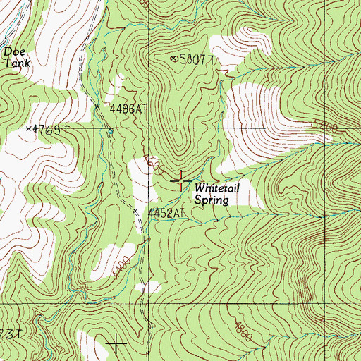 Topographic Map of Whitetail Spring, AZ