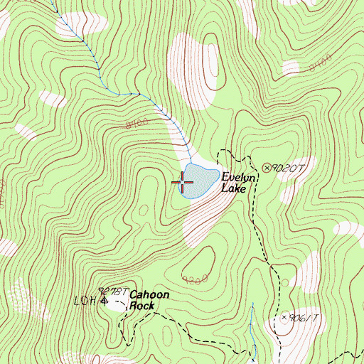 Topographic Map of Evelyn Lake, CA