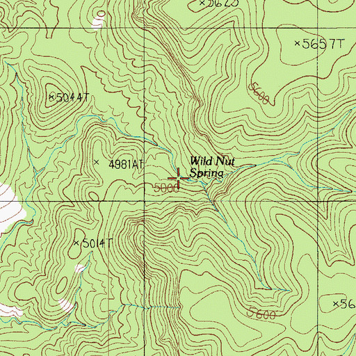 Topographic Map of Wild Nut Spring, AZ