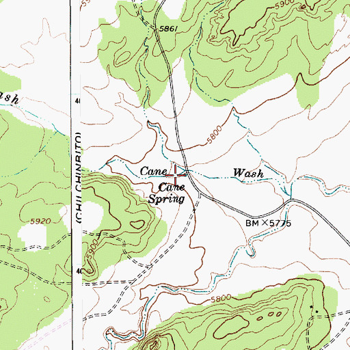 Topographic Map of Cane Spring, AZ