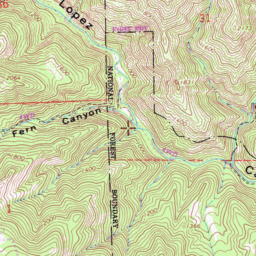 Topographic Map of Fern Canyon, CA