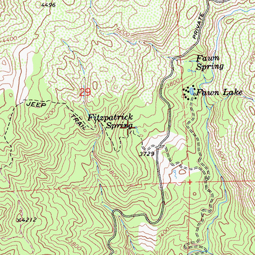 Topographic Map of Fitzpatrick Spring, CA
