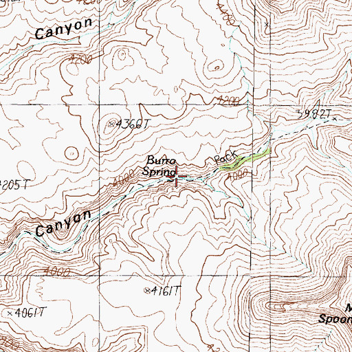 Topographic Map of Burro Spring, AZ