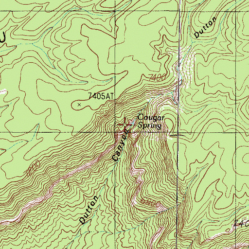 Topographic Map of Cougar Spring, AZ