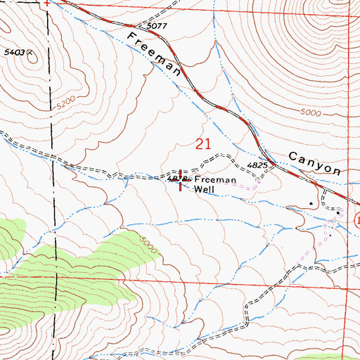 Topographic Map of Freeman Well, CA