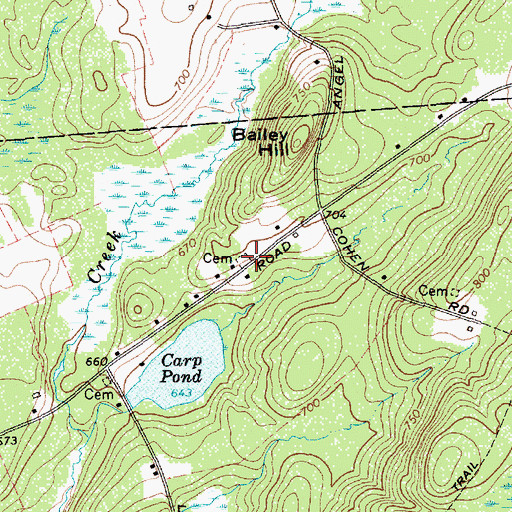 Topographic Map of Bailey Cemetery, NY