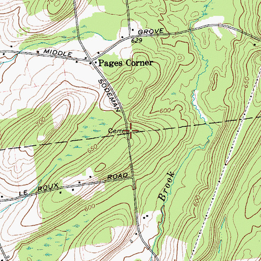 Topographic Map of Cornell Howard Cemetery, NY
