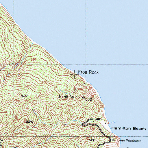 Topographic Map of Frog Rock, CA