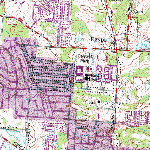 Topographic Map of Raleigh Egypt High School, TN