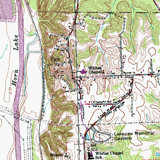 Topographic Map of Macedonia Missionary Baptist Church, TN