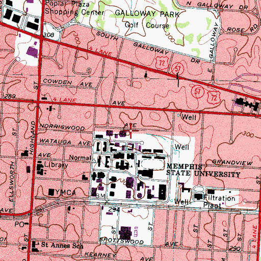 Topographic Map of Emeriti Grove, TN