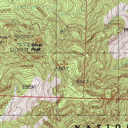 Topographic Map of Mount Sceloporus, AZ
