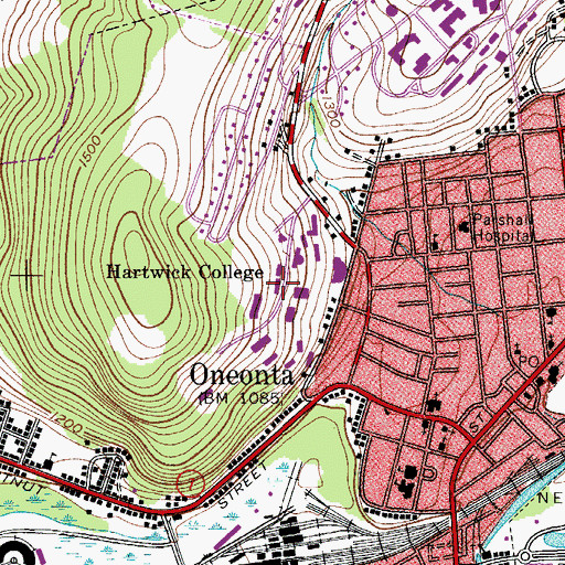 Topographic Map of Arnold Hall, NY