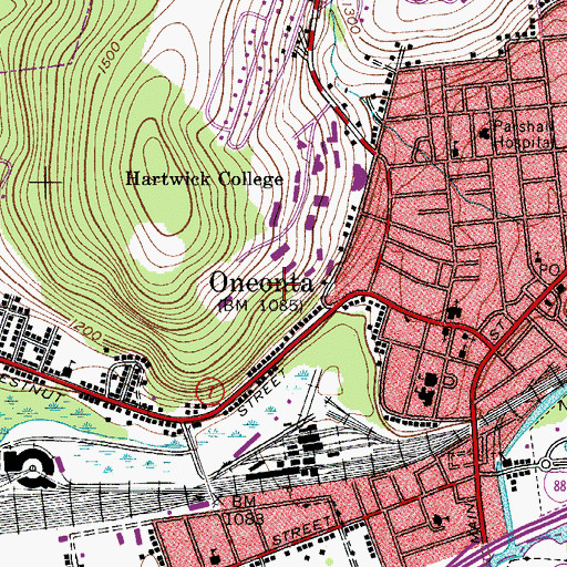 Topographic Map of Ritchie Quad, NY