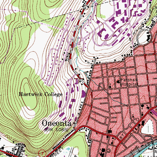 Topographic Map of Saxton Hall, NY
