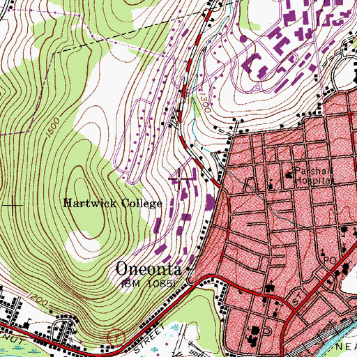 Topographic Map of Shineman Chapel House, NY