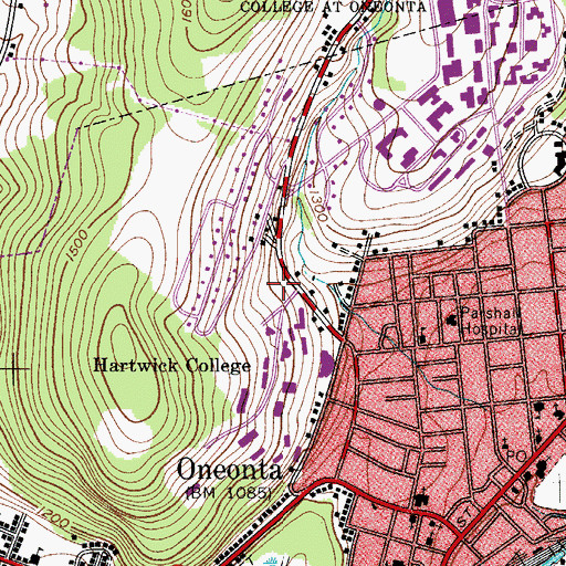 Topographic Map of Perrella Wellness Center, NY