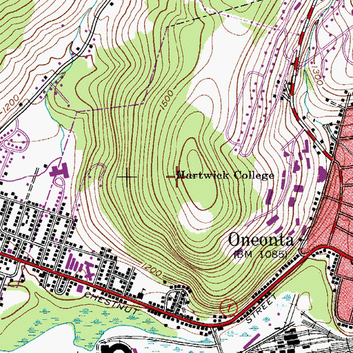Topographic Map of Wright Observatory, NY