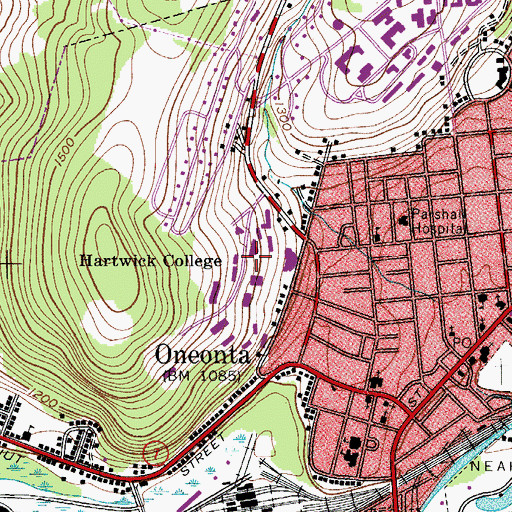 Topographic Map of Frisbee Field, NY