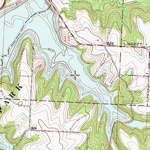 Topographic Map of Ligget Cove, MO