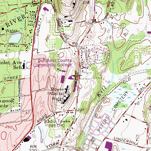 Topographic Map of Drumlin Hall, NY
