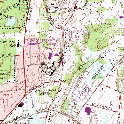 Topographic Map of Hudson Hall, NY