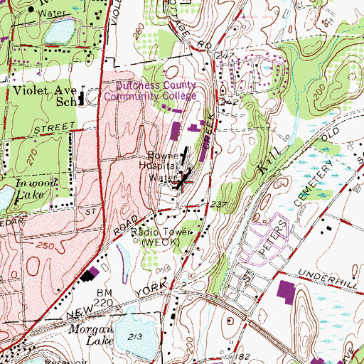 Topographic Map of Taconic Hall, NY
