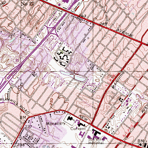Topographic Map of Buckingham Lake, NY