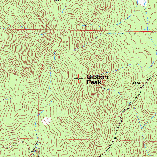 Topographic Map of Gibbon Peak, CA