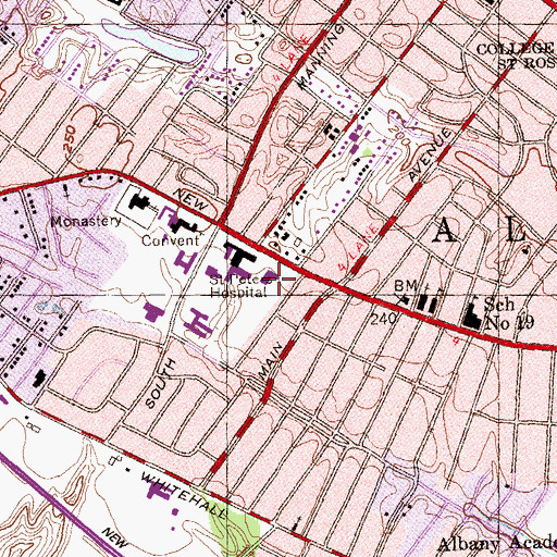 Topographic Map of Temple Israel, NY