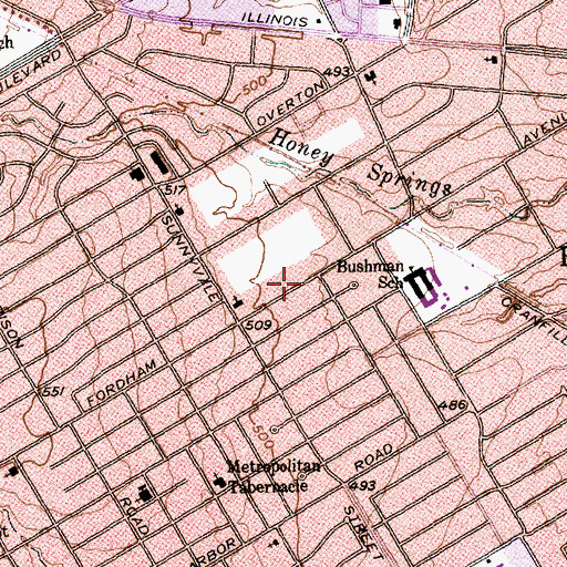 Topographic Map of Gods Holy Temple, TX