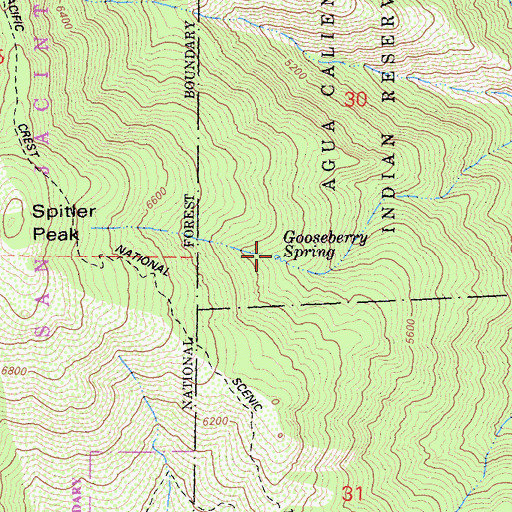 Topographic Map of Gooseberry Spring, CA